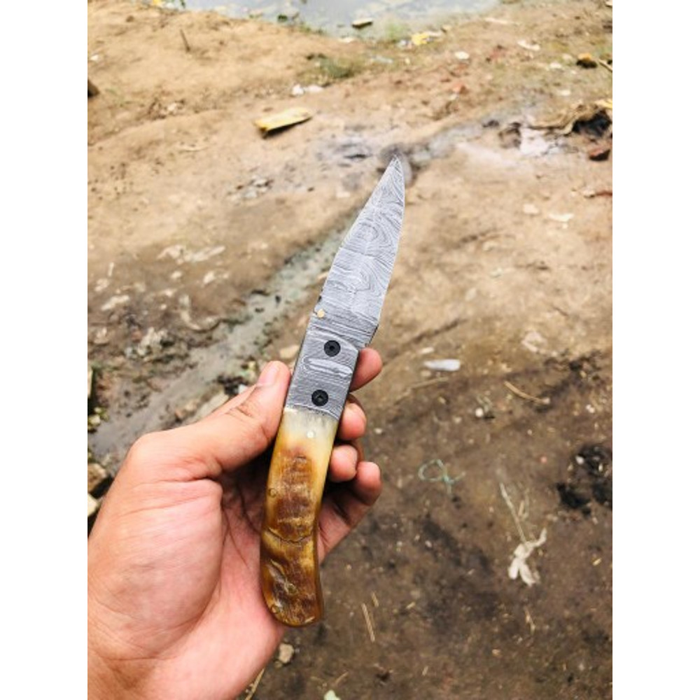 Handmade Damascus Steel Pocket Knife Stag Horn Buffalo Horn Handle With Leather Sheathe Gift For USA Fathers Day Gift 2