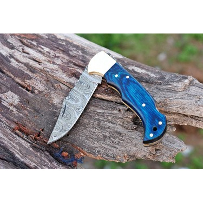 Handmade Damascus Steel Pocket Knife Dollar Sheathe Brass Handle With Leather Sheathe Gift For USA 1