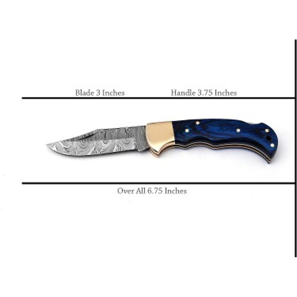 Handmade Damascus Steel Pocket Knife Dollar Sheathe Brass Handle With Leather Sheathe Gift For USA 2