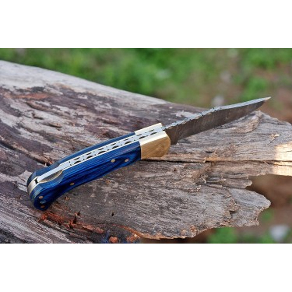 Handmade Damascus Steel Pocket Knife Dollar Sheathe Brass Handle With Leather Sheathe Gift For USA 4