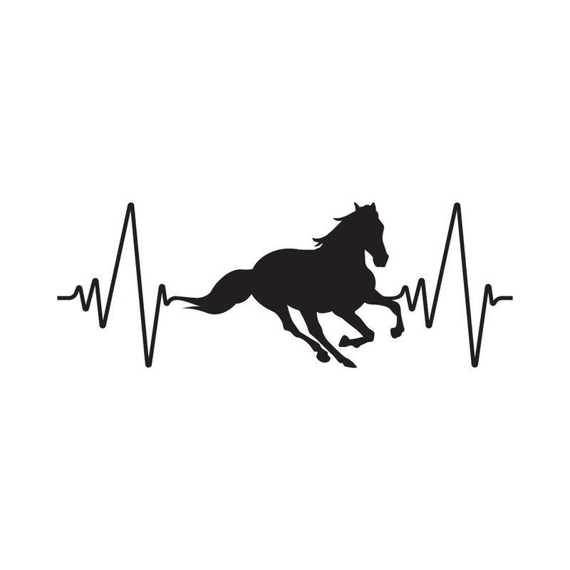 Heart Horse Design SVG PNG PDF JPG Equestrian Love Graphic For Custom Apparel  Crafts 4