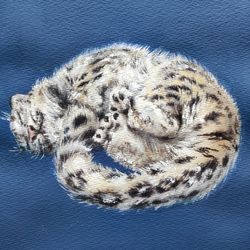 original snow leopard painting snow leopard watercolor painting square animal fine art wildlife illustration