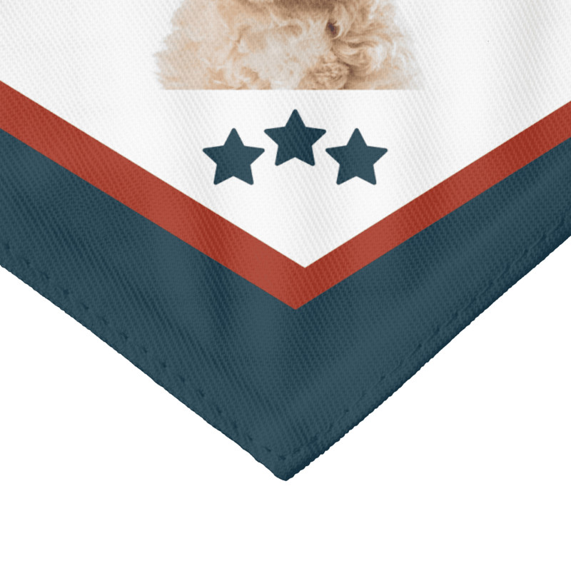 Custom 4th Of July Dog Bandana With Photo Patriotic Fireworks Design For Pets Personalized USA Dog 3