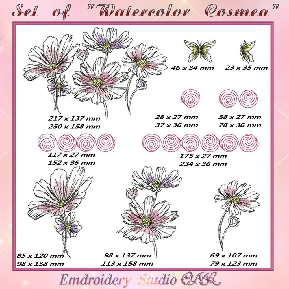 Watercolor Cosmea_1.jpg