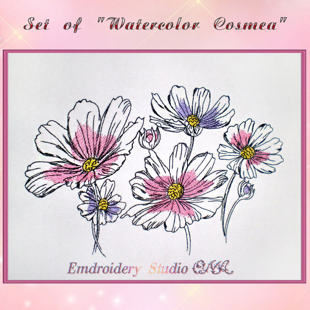 Watercolor-Cosmea_6.jpg