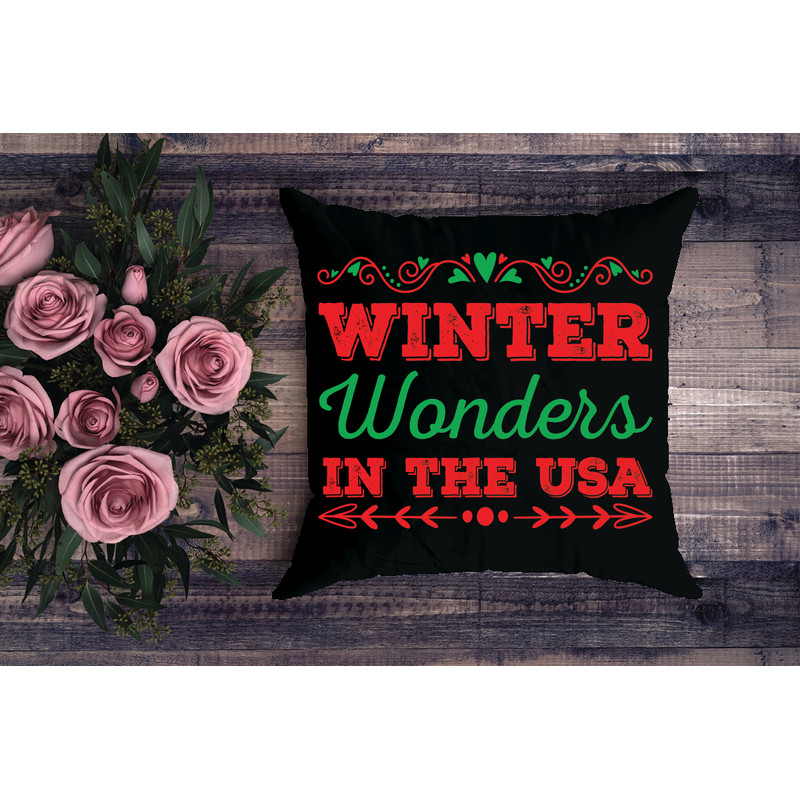 Winter Wonders In The Usa Hoodies Sweatshirts Design 2