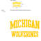 COLLEGE SPORTS UNIVERSITY MICHIGAN WOLVERINES LOGOS Embroidery Machine Designs 15