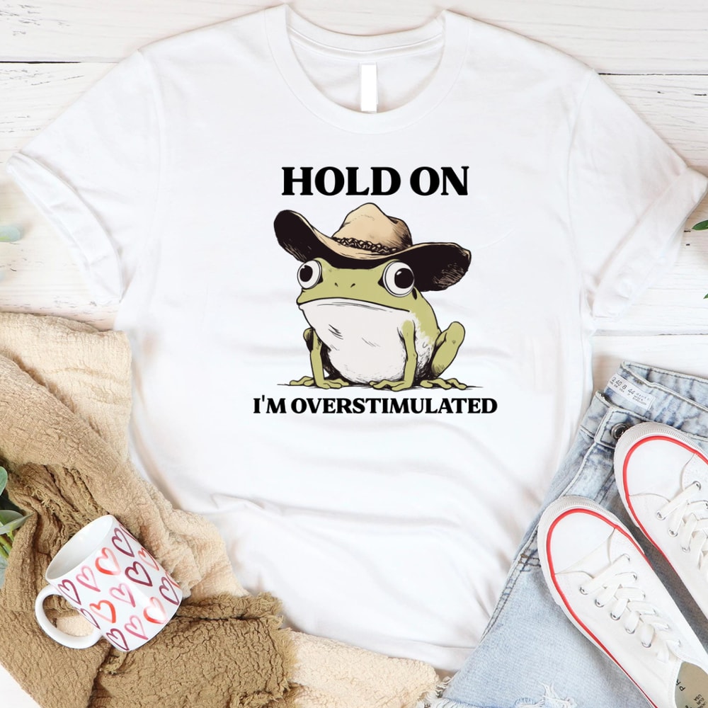 Funny Frog Meme Hold On Im Overstimulated 2 PNG 0