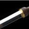 Hand Forged Gladius Roman Sword 1095 High Carbon Steel Blade With Scabbard 3