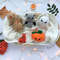 Crochet Pattern Set Of Halloween Toys 1