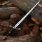 Dark Sister Sword Of Daemon Targaryen With Plaque Blackfyre Sword Longclaw Sword Needle Sword Gift 2