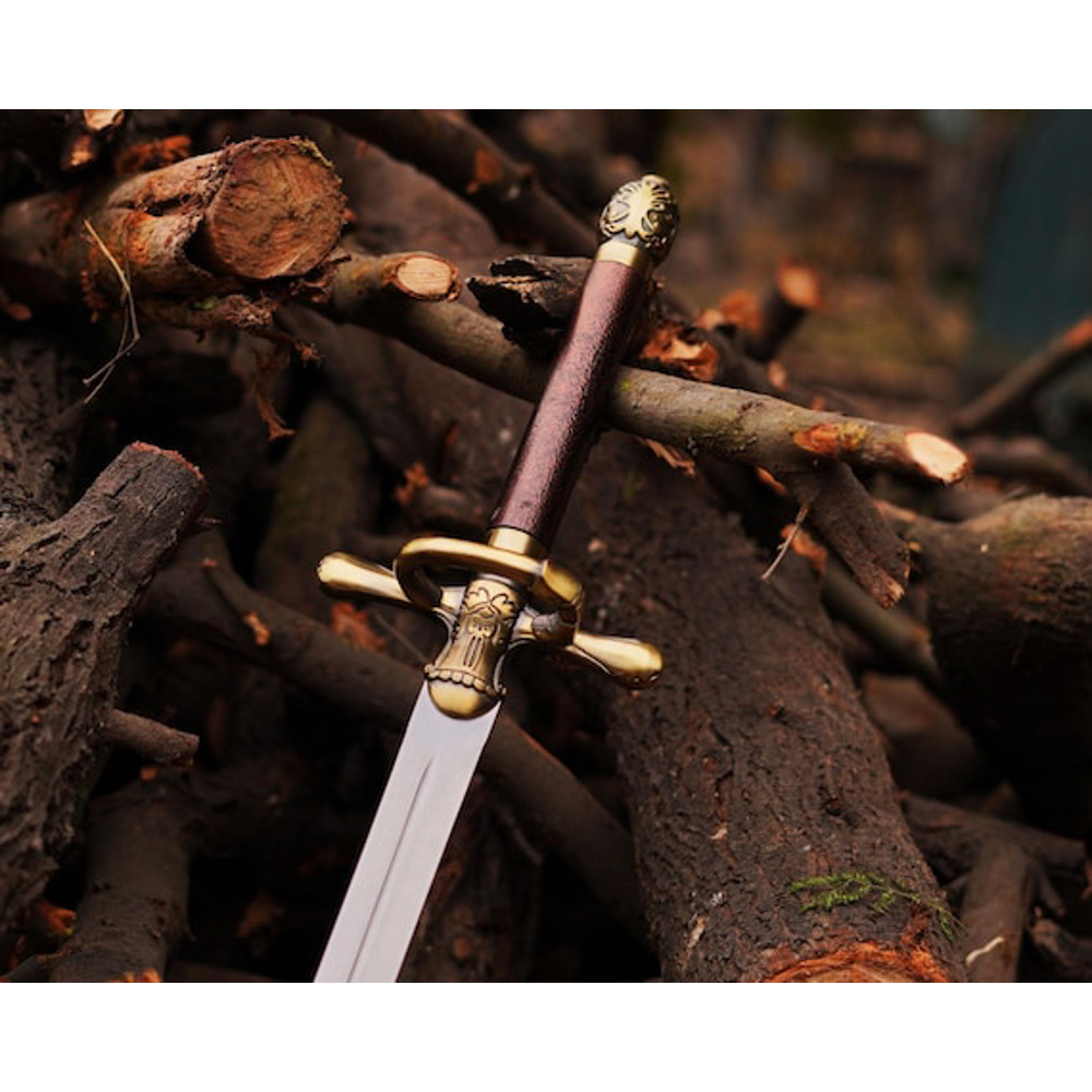 Dark Sister Sword Of Daemon Targaryen With Plaque Blackfyre Sword Longclaw Sword Needle Sword Gift 11