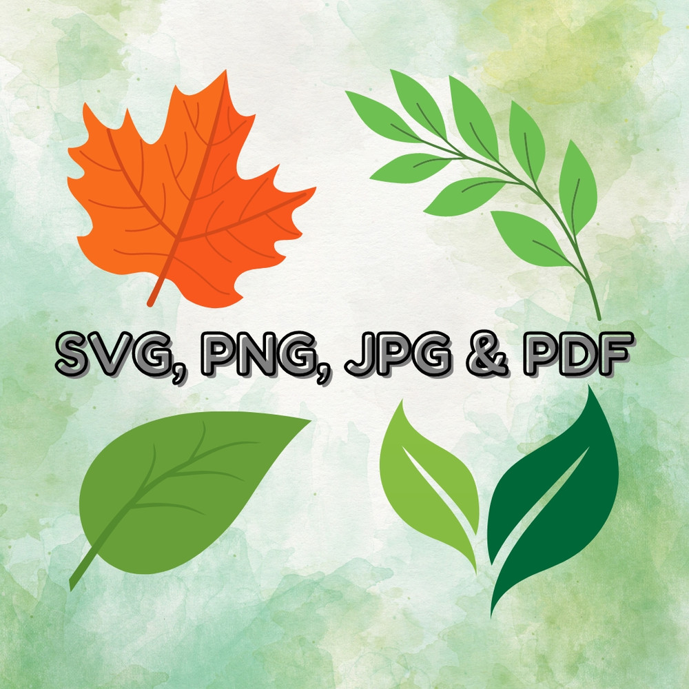 Beautiful Leaf SVG Bundle Leaf Designs For Cricut And Silhouette PNG And SVG Files Instant Download For DIY Projects 0