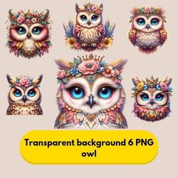 png, owl clipart bundle, sparkling owl sublimation clipart, colorful owls, owl artwork, owl tumbler, digital download,