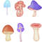 12 Cute Mushroom Clipart Set PNG Formats 1