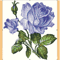 Blue Rose Photo Stitch Embroidery Design Multiple Formats Available 0