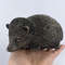 Hedgehog Statue Figure Polystone Bronze Home Decor Made In Italy 11 Kg 0