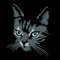 Cat Face Embroidery Design For Embroidery Machines 2