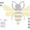 Bee Rhinestone Template1012 1