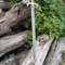 Damascas Handmade Sword 2