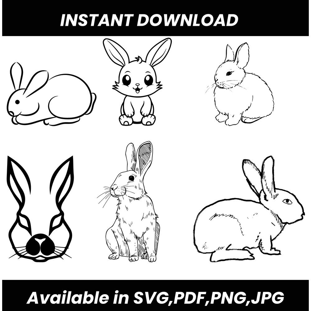 Rabbit Digital Art Bundle Available In SVG PDF JPG PNG Formats 0
