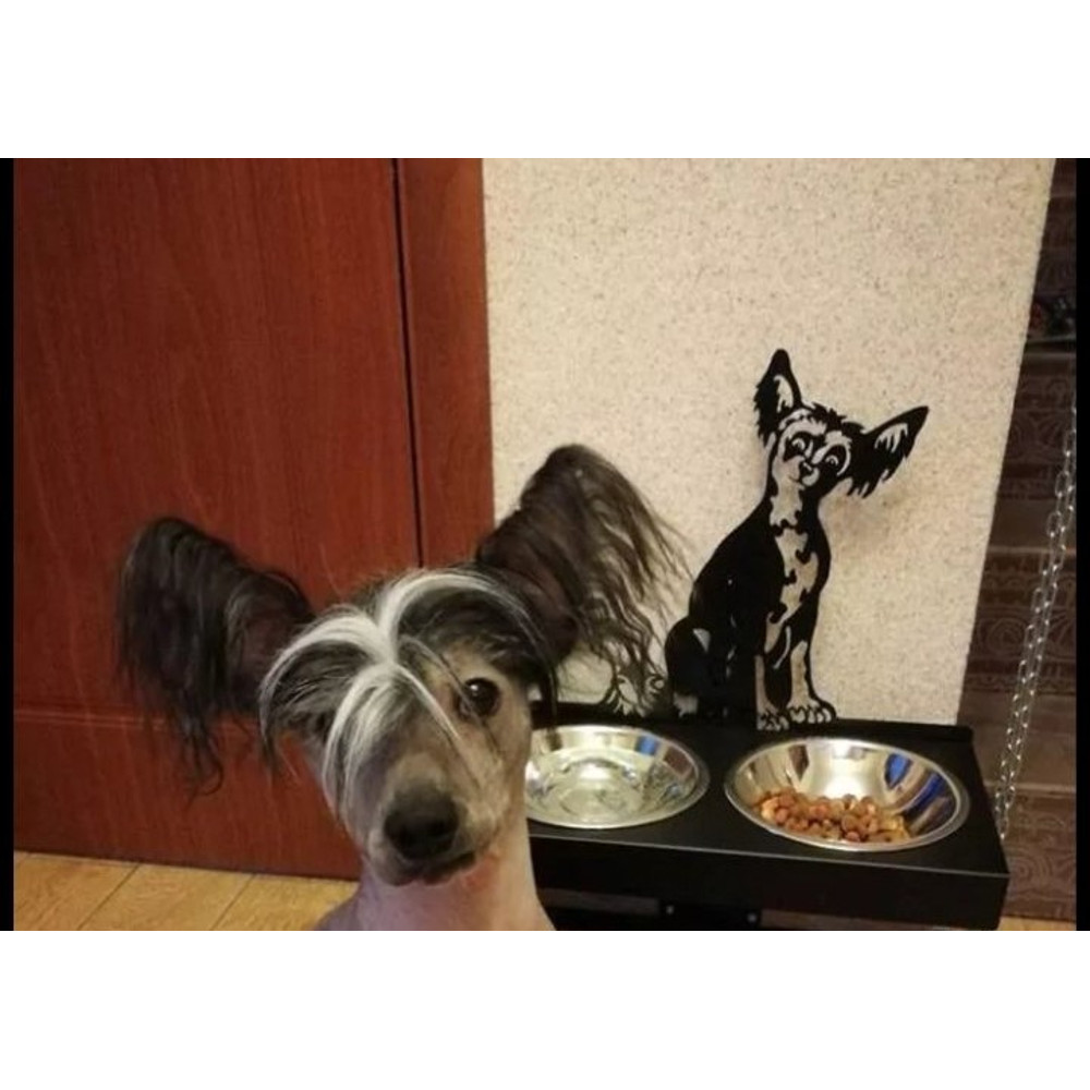 Personalized Pet Bowl With Stand Cat Dog Bowl Stand Custom DogCat Bowl Pet Bowl Holder Metal Dog Bowls 1