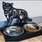 Raised Cat Bowl Modern Metall Raised Cat Stand Cat Feeding Station With 2 Bowls Cat Bowl Medium Dog British Shorthair 3