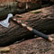 Genuine Viking Bearded Axeetched Axe near me