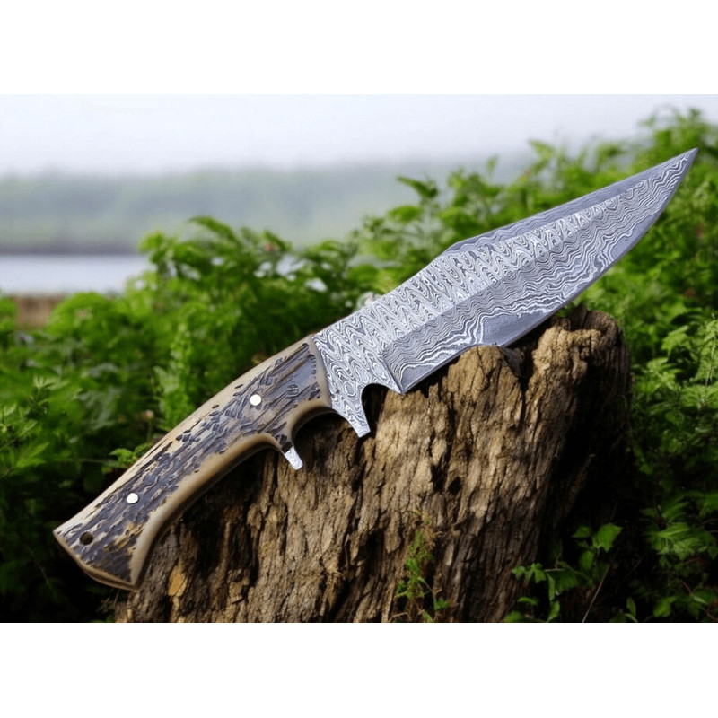 order now Damascus steel stag handle hunting knife