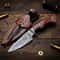 10 Handmade Damascus Steel Hunting Knife Rosewood Handle Fixed Blade For Camping Survival Example