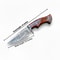 10 Handmade Damascus Steel Hunting Knife Rosewood Handle Fixed Blade For Camping Survival Example