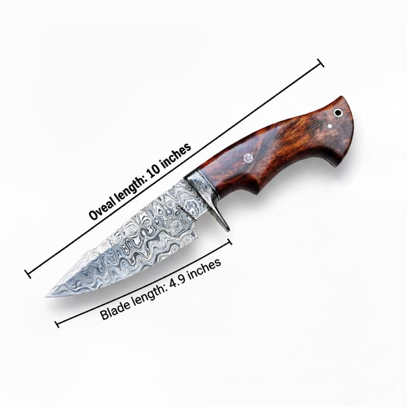 10 Handmade Damascus Steel Hunting Knife Rosewood Handle Fixed Blade For Camping Survival Example