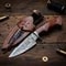 10 Handmade Damascus Steel Hunting Knife Rosewood Handle Fixed Blade For Camping Survival Example