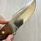 Hunting Knife N690 Steel Heavy Duty Camping Survival Knife Walnut Wood Handle 2