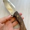 Hunting Knife N690 Steel Heavy Duty Camping Survival Knife Walnut Wood Handle 6