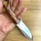 Hunting Knife N690 Steel Full Tang Camping EDC Knife Glossy Chestnut Wood Handle 2