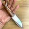 Hunting Knife N690 Steel Full Tang Camping EDC Knife Glossy Chestnut Wood Handle 2