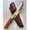 Hunting Knife N690 Steel Full Tang Survival Collector Knife Cocobolo Wood Handle 9