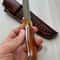Hunting Knife N690 Steel Full Tang Survival Collector Knife Cocobolo Wood Handle 5