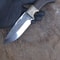Handmade 1075 Steel Hunting Knife Eagle Engraved Ebony Wood Survival Blade 3