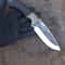 Handmade 1075 Steel Hunting Knife Eagle Engraved Ebony Wood Survival Blade 5