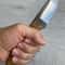 Carving Knife N690 Steel Silverberry Handle Full Tang Bushcraft Woodworking Knife 0