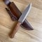 Premium Full Tang Woodworking Knife With N690 Steel Silverberry Handle 1