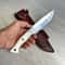 Handmade Wood Carving Knife N690 Steel Bushcraft Knife With Silverberry Grip 2