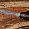 Handmade Damascus Bowie Knife Hunting Collectible Gift Knife 3