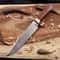 Cu Mai Damascus Bowie Knife Full Tang With Ironwood Handle Handmade Hunting Knife 4