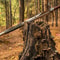 Handcrafted Fantasy Sword Medieval Style Decorative Display Piece 36 Inch 1