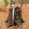 Handcrafted Fantasy Sword Medieval Style Decorative Display Piece 36 Inch 3