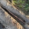 Handcrafted High Carbon Steel Spear 32 Inch Medieval Tactical Spear With Rosewood Handle Leather 1