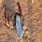 Handmade High Carbon Steel Cleaver 17 With Rosewood Handle Leather Sheath 1